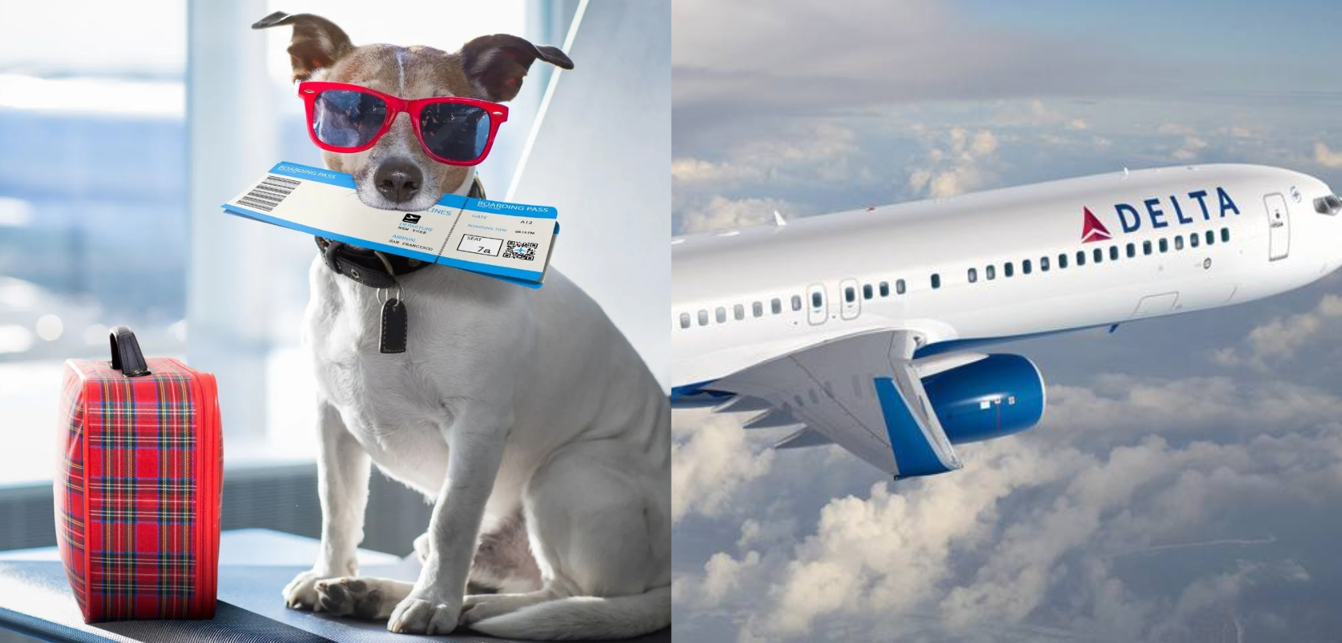 Delta Airlines Flight Deals